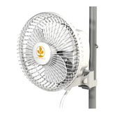 Monkey Fan 16W
